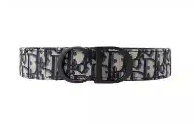 Dior Oblique Belt