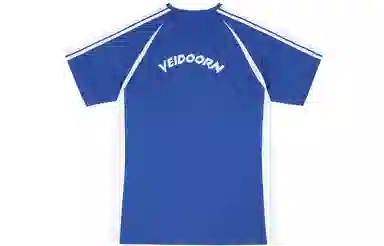 VEIDOORN T