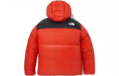 THE NORTH FACE Baruntse Down Jacket Logo