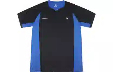 VEIDOORN T