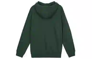 Nike Sportswear Essentials Hoodie Green