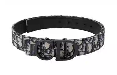 Dior Oblique Belt