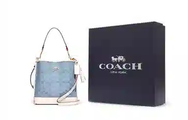 COACH Mollie 22 Bucket Bag Blue Signature