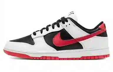 Nike Dunk Low OKHR