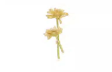 MCK