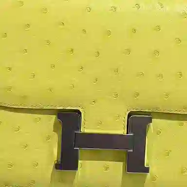 Hermes Constance 19 Citron