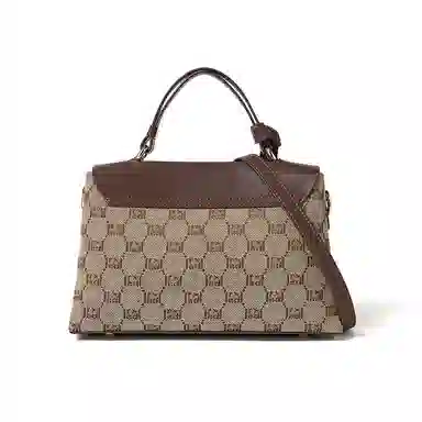 红蜻蜓 经典复古拼接简约高级感 字母小众设计百搭 织物 女包手提斜挎单肩包 春夏季 中号 女款 咖啡色/棕色