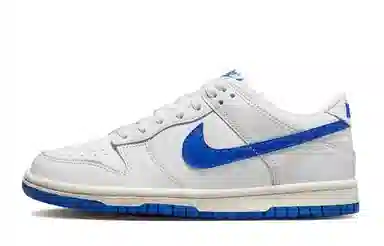 Nike Dunk Low 811