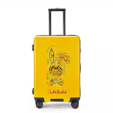 Cute Rabbit ABS+PC 20222426