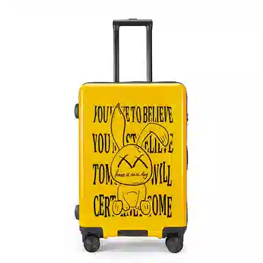 Cute Rabbit ABS+PC 20222426