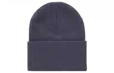 Carhartt WIP Beanie Navy