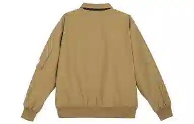 Dickies Logo