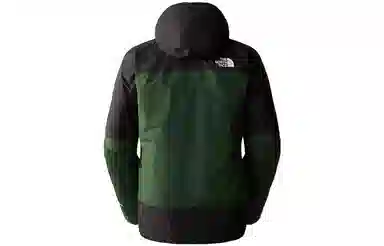 THE NORTH FACE TRICLIMATE GORE-TEX Logo