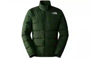 THE NORTH FACE TRICLIMATE GORE-TEX Logo