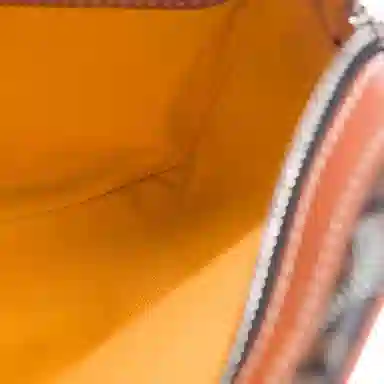 Goyard Camera Bag Black Brown