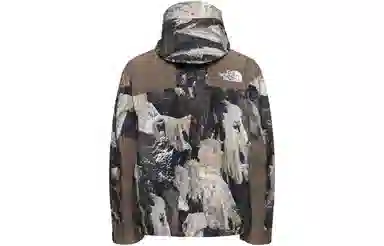 The North Face Baltoro Gore-Tex Mountain Jacket