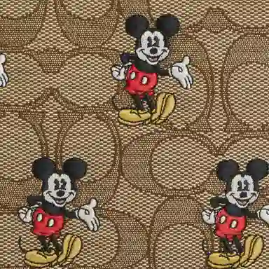 COACH COACH X DISNEY SS23 16