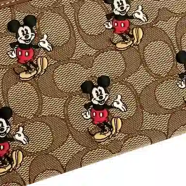 COACH COACH X DISNEY SS23 16