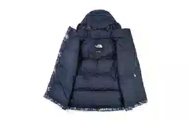 The North Face 1996 Nuptse Black