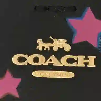 COACH Town 22