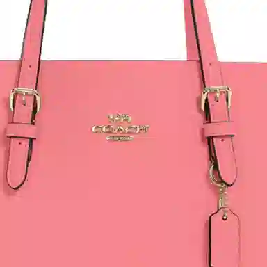 COACH Mollie 25 Tote