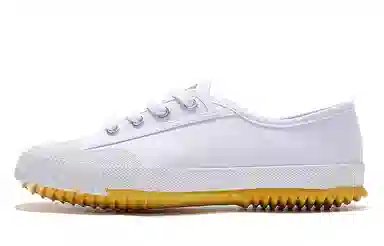 Feiyue Classic Canvas