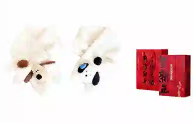 US8ACC