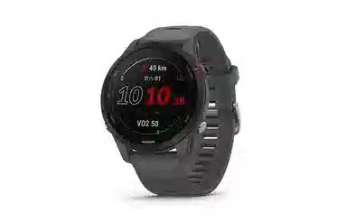 Garmin Forerunner 255 Mysterious Grey