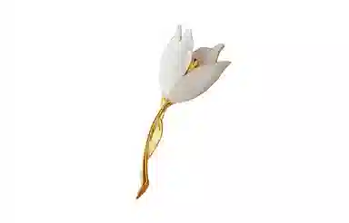 QIMEILA