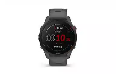 Garmin Forerunner 255 Mysterious Grey