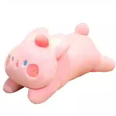 25cm35cm48cm50cm30*36cm 25cm35cm48cm50cm30*36cm