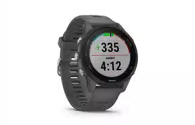 Garmin Forerunner 255 Mysterious Grey
