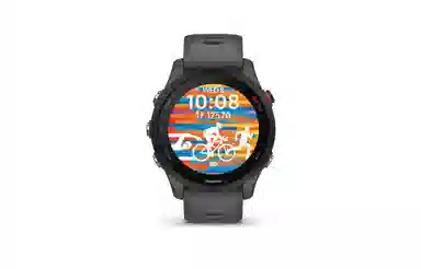 Garmin Forerunner 255 Mysterious Grey