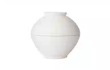 20ml