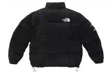 Supreme x The North Face