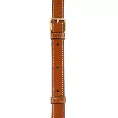 Celine Triomphe Bucket Bag