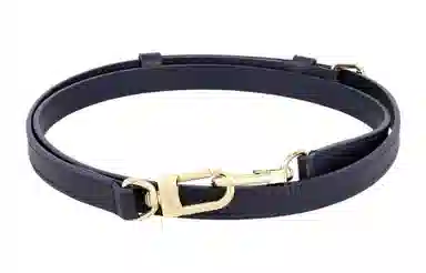 LOUIS VUITTON Speedy Bandouliere 20