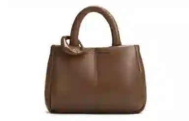 CHARLES&KEITH Noir Dark Brown Medium PU Shoulder Bag