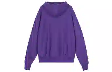 Champion Mens Plc Pull Over