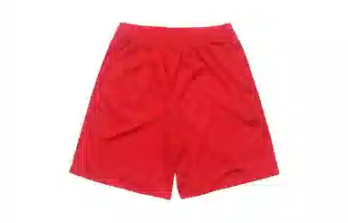 Champion Mesh Shorts Red Blue