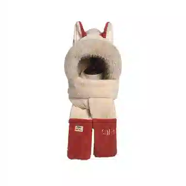 BAGGL