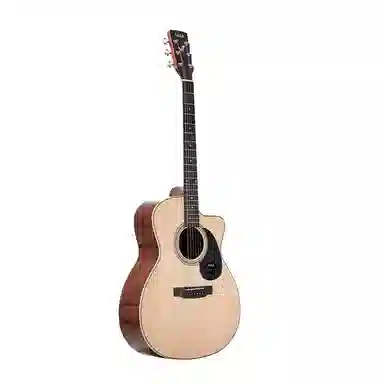 (Saga) SF700ProSA700Pro 4041