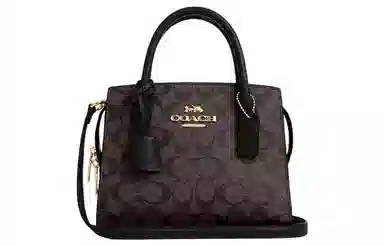 COACH ANDREA CARRYALL 22 Tote