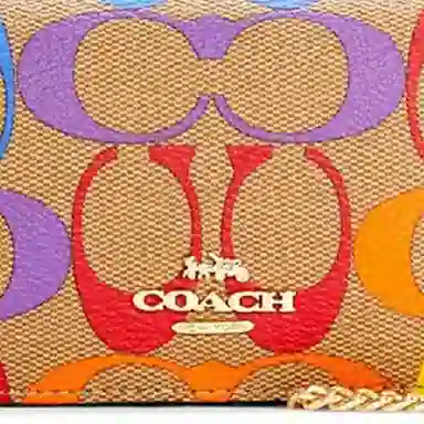 COACH Chain 10