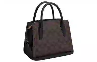 COACH ANDREA CARRYALL 22 Tote