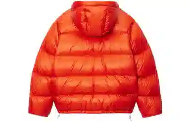 Stussy Micro Ripstop Down Parka