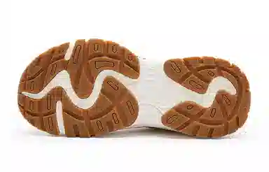 Champion Retro Sports
