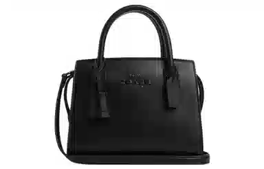 COACH ANDREA CARRYALL 22 Logo