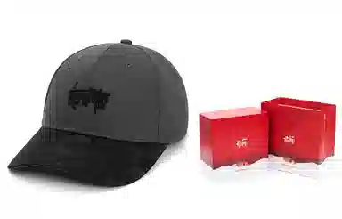 Kenmore Baseball Cap Grey/Burgundy