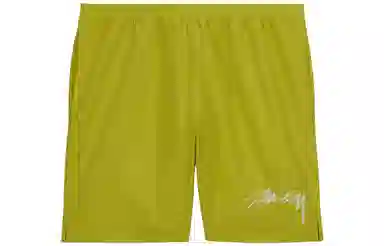 Nike x Stussy FW23 Logo Print Shorts